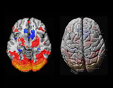 Neurology lab