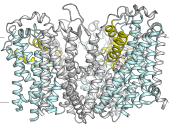 image of Schlessinger Lab