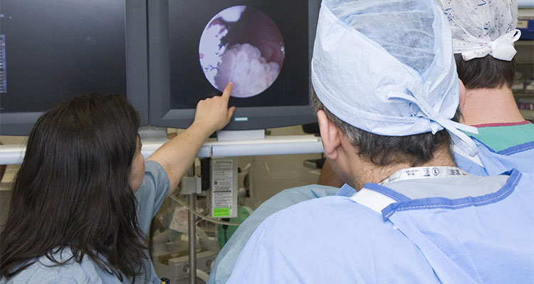 Female resident points to an image on a monitor while two male residence look on