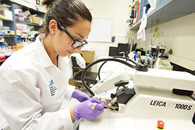 Woman in a lab