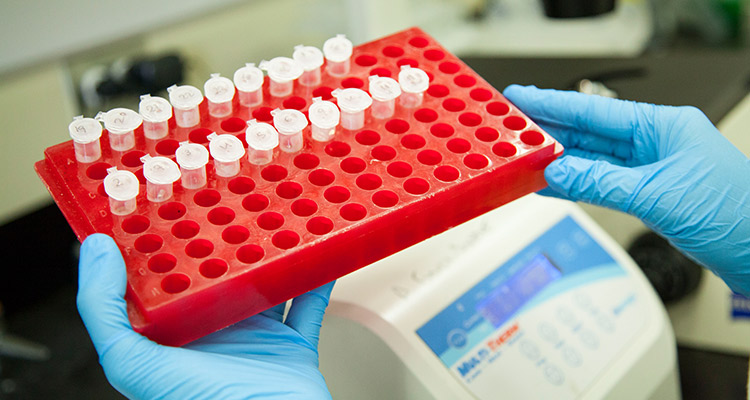 Photo of Microbiology Lab Equipment