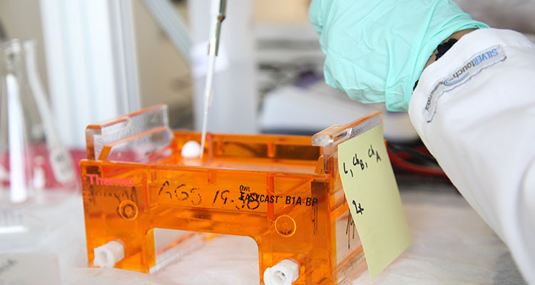 Photo of Microbiology Lab Equipment