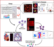 McAlpine lab graphic