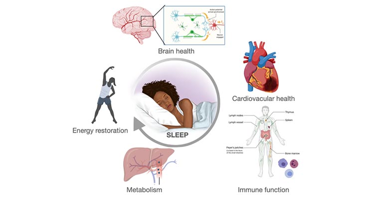 Sleep graphic