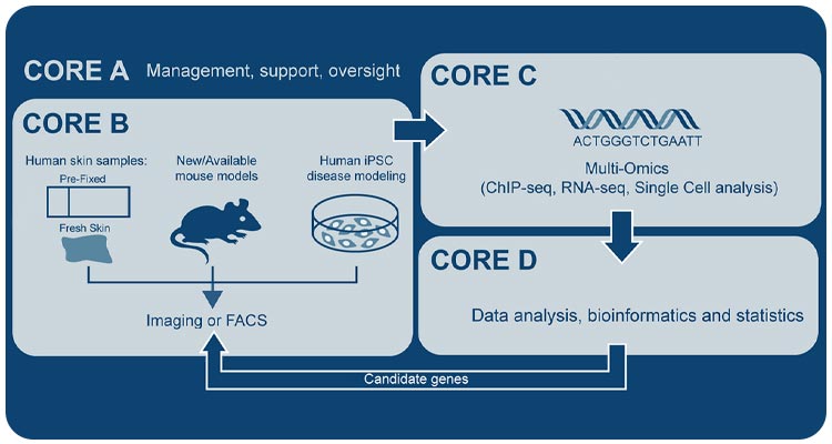 core flowchart