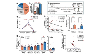 neuromodulatory graphic